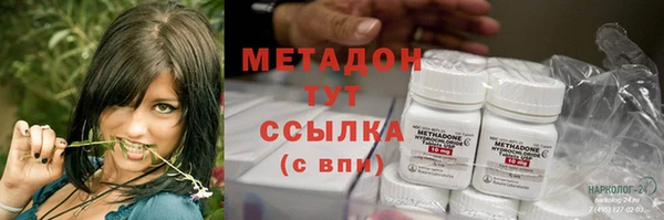 ECSTASY Богданович