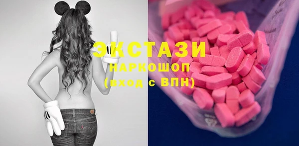ECSTASY Богданович