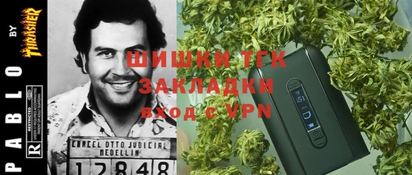 МДПВ Богородицк