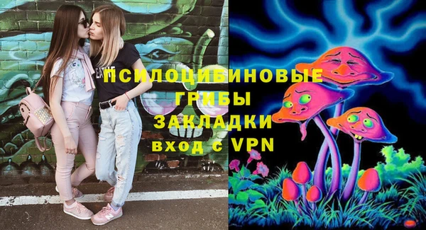 ECSTASY Богданович