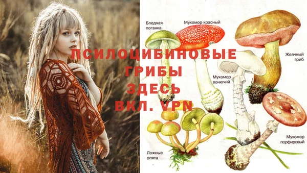 ешки Бугульма