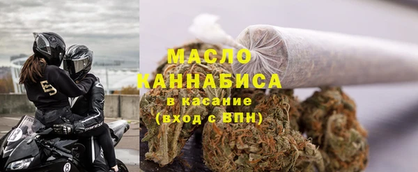ECSTASY Богданович