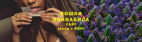 МДПВ Богородицк