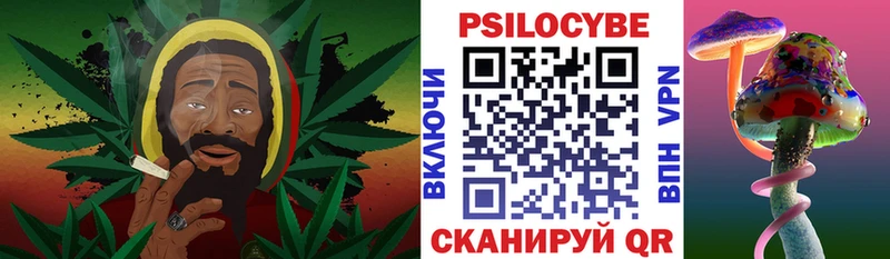Купить закладки  Оса  Галлюциногенные грибы мицелий 